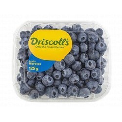 Driscoll s Blueberries Morocco