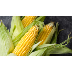 Sweet Corn