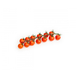 Silal Red Cherry Tomatoes