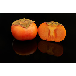 Persimmon