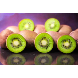 Kiwi Iran