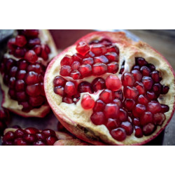 Pomegranates