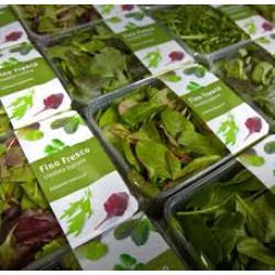 Fino Fresco Insalata Italiana Baby Spinach