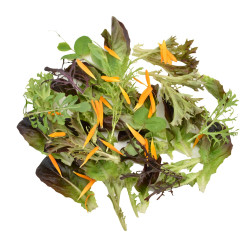 Selezione Oro Mesclun Salad Mix Leaves