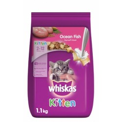 Whiskas Dry Food with Milk Ocean Fish Flavor for Junior Cats (2-12 Months)