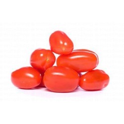 Cherry Tomatoes Plum