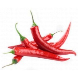 Chili Red Hot