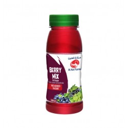 Al Ain Long Life Berry Mix & Grape Juice - no added sugar  no added colors 200ml