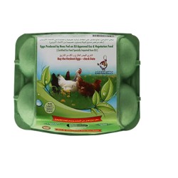 Al Jazira Vegetarian Fed Medium Golden Brown Eggs - 6 per pack