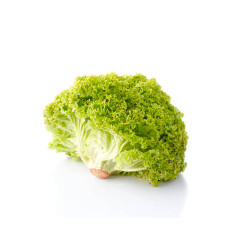 Lettuce Lollo Bionde