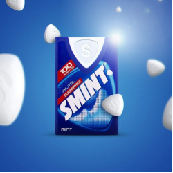 Smint Candies Mint Flavor with Xylitol - sugar free