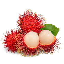 Rambutan Fruit