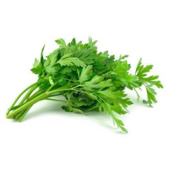 Fresh Parsley Leaves