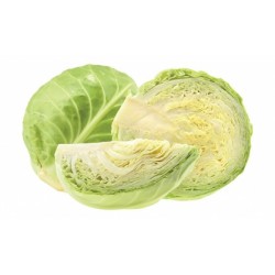 Cabbage White