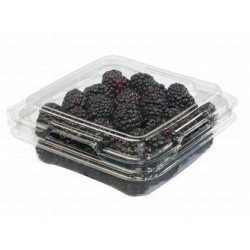 Blackberries Europe