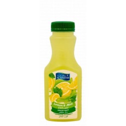 Al Rawabi Long Life Lemon & Mint Juice