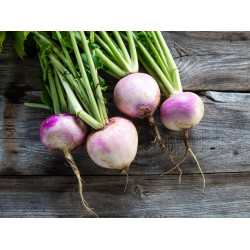 Turnips