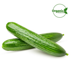 Organic Cucumbers