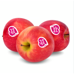 Apple Pink Lady 