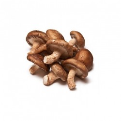 Yantai Yitian Food Shitake Mushroom 200 gr per pack