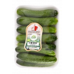 Dar Alfateh Organic Cucumbers UAE