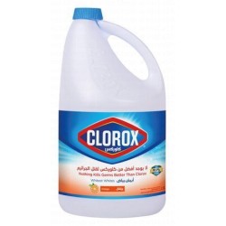 Clorox Whitest Whites Orange Scent