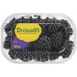 Driscoll s Blackberries Portugal