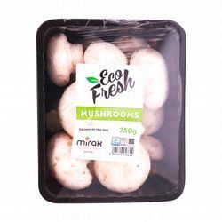Eco Fresh Mushrooms UAE