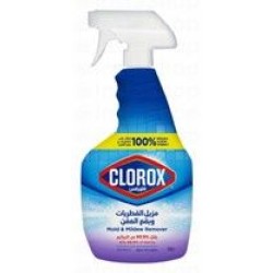 Clorox Mold & Mildew Remover Spray