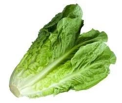 Lettuce Romaine B2B SuperMarket