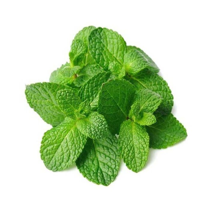 Mint Leaves Per Pack B2b SuperMarket